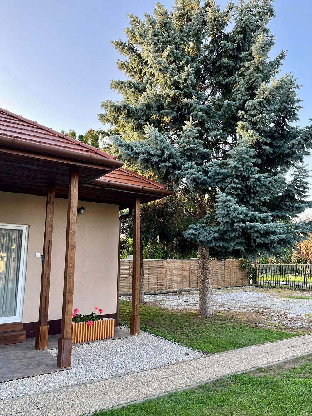Szolgáltatások